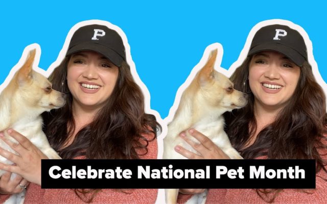 Lo Is Celebrating National Pet Month